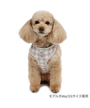 PET PARADISE ペットパラダイス くまちゃん リュック付き ハーネス ＳＳ 小型犬 ベージュ