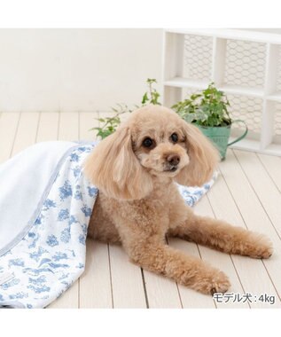 PET PARADISE ペットパラダイス クールケット 《トワルドジュイ》 小型犬 ホワイト×ブルー