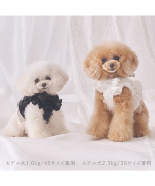 PET PARADISE cherircouture フリフリハーネス 《ホワイト》 小型犬 Ｓ ホワイト