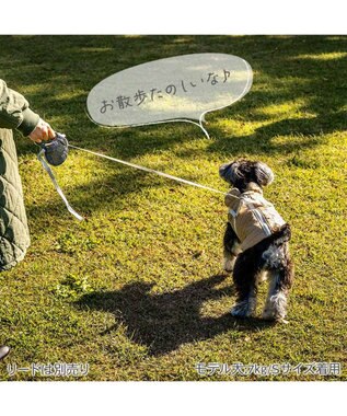 PET PARADISE ペットパラダイス くまちゃん アウターハーネス  キルト 小型犬 ベージュ