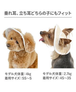 PET PARADISE ペットパラダイス レース クール ハット ４Ｓ～３Ｓ/ＳＳ～Ｓ 小型犬 ベージュ