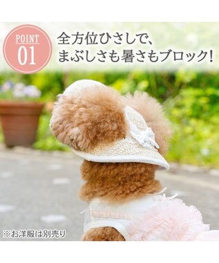 PET PARADISE ペットパラダイス レース クール ハット ４Ｓ～３Ｓ/ＳＳ～Ｓ 小型犬 ベージュ