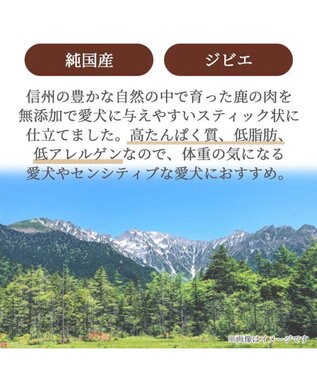 PET PARADISE 鹿肉 スティックジャーキー 40g 国産 -