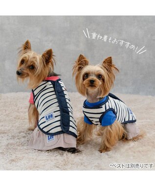 PET PARADISE Lee ワンショルダー パンツつなぎ 《ブルー》 小型犬 ブルー