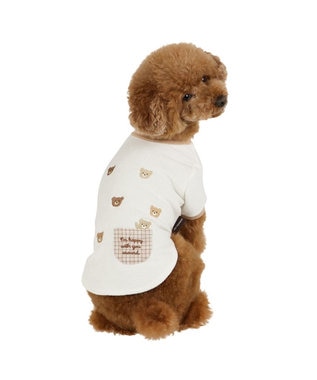 PET PARADISE ペットパラダイスくまちゃん サーモキープ Ｔシャツ 超小型犬 小型犬 ホワイト×ブラウン
