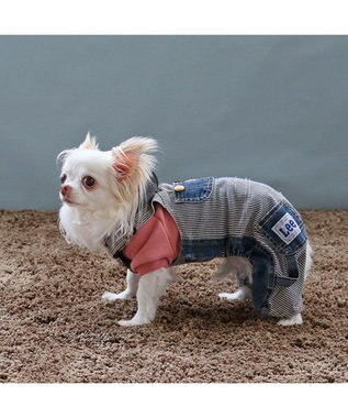 PET PARADISE Ｌｅｅ パッチワーク オーバーオール パンツつなぎ【小型犬】 紺（ネイビー・インディゴ）