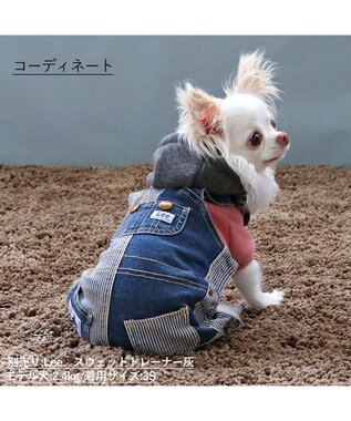 PET PARADISE Ｌｅｅ パッチワーク オーバーオール パンツつなぎ【小型犬】 紺（ネイビー・インディゴ）