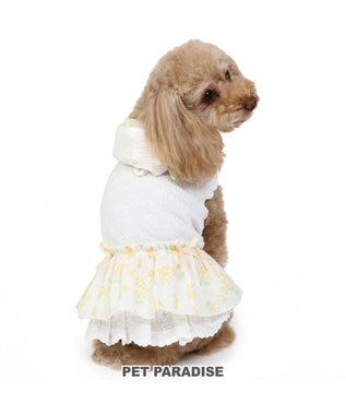 PET PARADISE 犬の服 犬 ワンピース 【小型犬】 ミモザ ホワイト グリーン ホワイト
