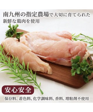 PET PARADISE リアルフードスティック プレーン 10g×8本 国産 -