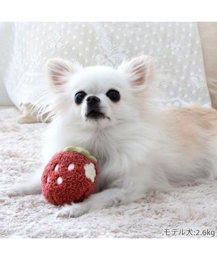 PET PARADISE ペットパラダイス ふわころトイ 《いちご  レッド》 小型犬 レッド