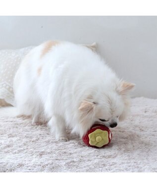 PET PARADISE ペットパラダイス ふわころトイ 《いちご  レッド》 小型犬 レッド