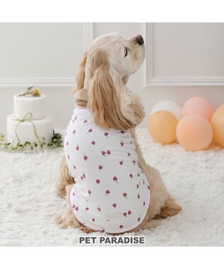  ペットパラダイス はじめて タンクトップ 《いちご》 中型犬 大型犬