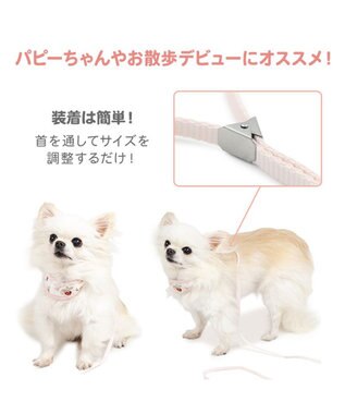 PET PARADISE ペットパラダイス リード付き首輪 《いちご》 小型犬 ホワイト×ピンク