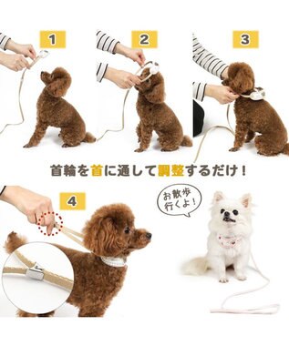 PET PARADISE ペットパラダイス リード付き首輪 《いちご》 小型犬 ホワイト×ピンク
