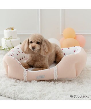 PET PARADISE ペットパラダイス いちご フリルカドラー  Ｍ 57×45cm ピンク