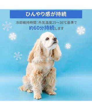 PET PARADISE ペットパラダイス １８℃ クールリング ＳＭ 《アイス柄》中型犬 ピンク
