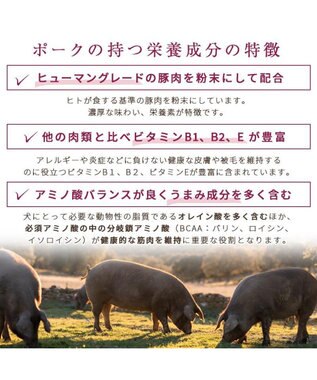 PET PARADISE  ペットパラダイス ドッグフード フローラ3kg 国産 0