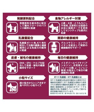 PET PARADISE  ペットパラダイス ドッグフード フローラ3kg 国産 0