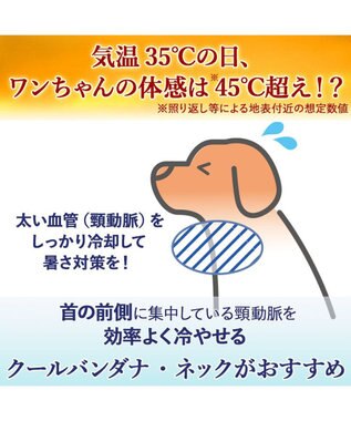 PET PARADISE Lee ヒッコリー ロゴ クールバンダナ 小型犬 ネイビー