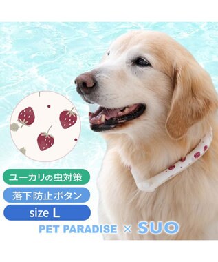  ペットパラダイス 28℃クールリング  《いちご》 Ｌ 大型犬