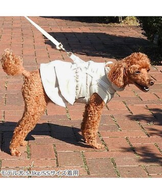 PET PARADISE ペットパラダイス ふりふり アウターハーネス 小型犬 ベージュ