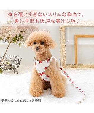 PET PARADISE ペットパラダイス スリム ハーネス＆リード 《苺総柄》 ＳＳ 小型犬 ホワイト