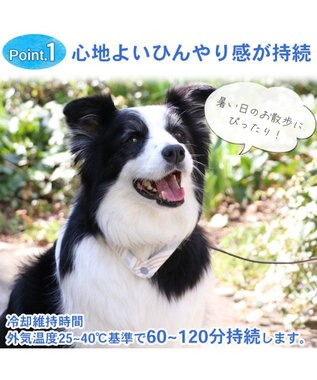 PET PARADISE クールリング 犬 クールネック ひんやり 28℃クールリング 【Ｍ】 リフレクター 水色 ベージュ 反射材付き 水色 Ｍ
