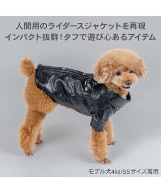 PET PARADISE Lee ＰＵ ライダース ジャケット 小型犬 ブラック