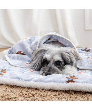 PET PARADISE リサとガスパール ボア ブランケット 《雪編み柄》 ブルー