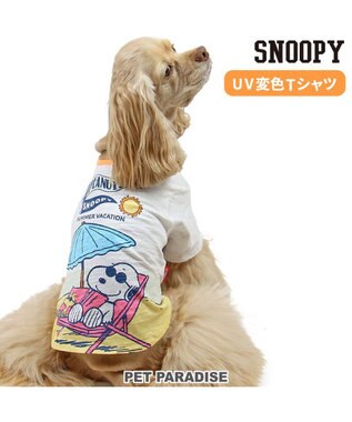 PET PARADISE スヌーピー UV反応 色が変わるTシャツ 《ビーチ柄》 中型犬 大型犬