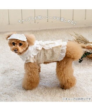 PET PARADISE ペットパラダイス ナチュラルレース ワンピース 小型犬 ベージュ✕ホワイト