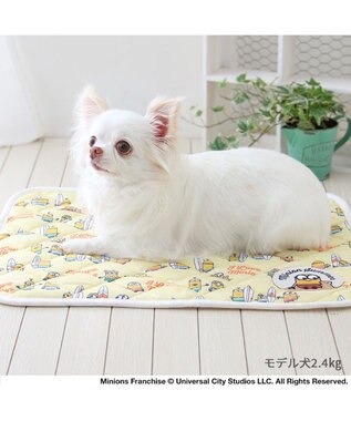 PET PARADISE ミニオン ボブ クール マット 《ビーチ柄》 小型犬 48×40㎝ ビーチ柄