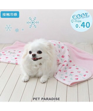 PET PARADISE ペットパラダイス クールケット 《苺＆お花柄》 小型犬