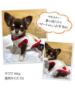 PET PARADISE ペットパラダイス サーモキープ タンクトップ  苺柄 【小型犬】 白~オフホワイト