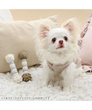 PET PARADISE ペットパラダイス くまちゃん ラテックス トイ 《ブラウン》 ブラウン