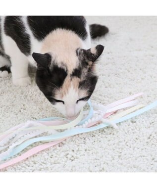 PET PARADISE  ペットパラダイス 猫じゃらし 《リボン》 リボン