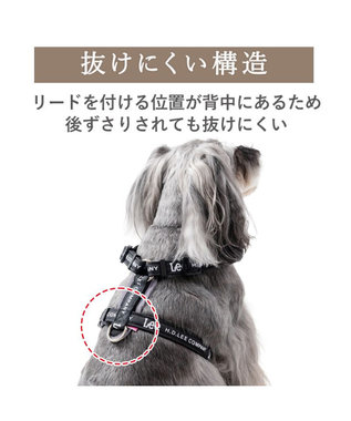 PET PARADISE Lee ロゴアクティブ ハーネス ＳＳ ブラック