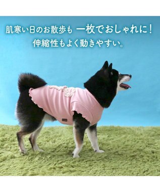 PET PARADISE ペットパラダイス リボン プレミアム ペティヒート Ｔシャツ 中型犬 ピンク