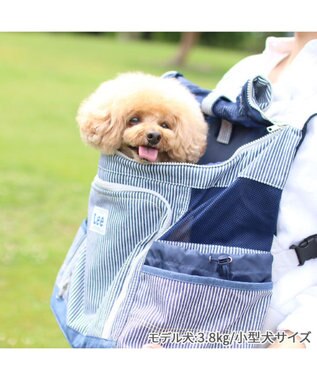 PET PARADISE Ｌｅｅ ハグ＆リュック  キャリーバッグ 《ヒッコリー柄》 M 小型犬 グレー