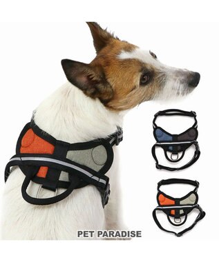 PET PARADISE ヘッドインハーネス 【ＳＳ】 オレンジ / ブルー 【小型犬】 オレンジ×グレー