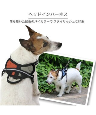 PET PARADISE ヘッドインハーネス 【ＳＳ】 オレンジ / ブルー 【小型犬】 オレンジ×グレー