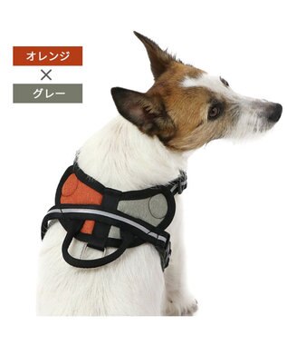 ヘッドインハーネス 【ＳＳ】 オレンジ / ブルー 【小型犬】