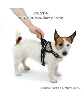 PET PARADISE ヘッドインハーネス 【ＳＳ】 オレンジ / ブルー 【小型犬】 オレンジ×グレー