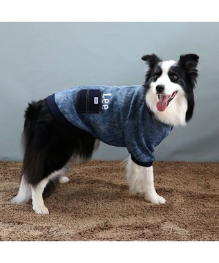 PET PARADISE Lee ウォッシュ加工 トレーナー 中型犬 大型犬 紺（ネイビー・インディゴ）