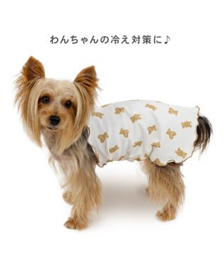 PET PARADISE ペットパラダイス くまちゃん ペティヒート  腹巻 小型犬 オフホワイト
