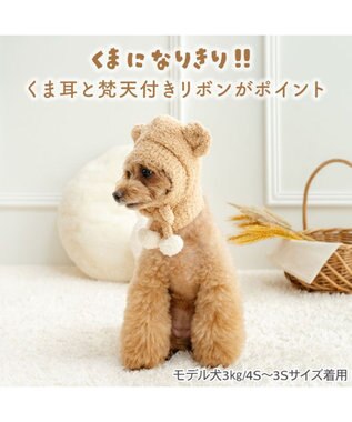 PET PARADISE ペットパラダイス シェニール くまちゃん帽子 ４Ｓ～３Ｓ/ＳＳ～Ｓ ブラウン