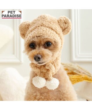 PET PARADISE ペットパラダイス シェニール くまちゃん帽子 ４Ｓ～３Ｓ/ＳＳ～Ｓ