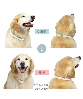 PET PARADISE ペットパラダイス 28℃クールリング SUO 《いちご柄》 〔Ｌ〕 大型犬 いちご