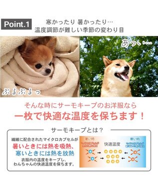 PET PARADISE ペットパラダイス サーモキープ タンクトップ  《くま パンツ柄》小型犬 白~オフホワイト