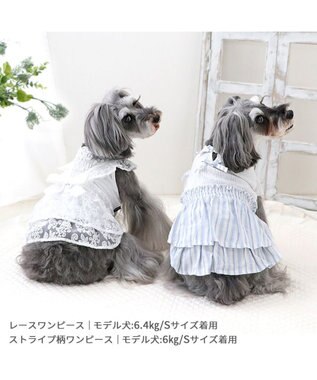 PET PARADISE ペットパラダイス ストライプ ワンピース 小型犬 ストライプ